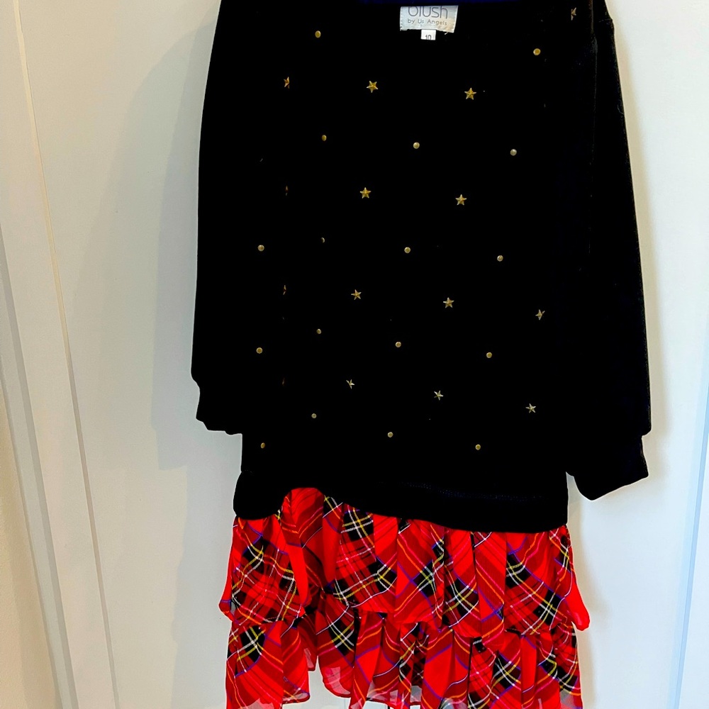NWT Blush Plaid Tunic Dress